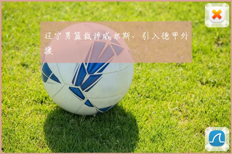 辽宁男篮裁掉威尔斯，引入德甲外援