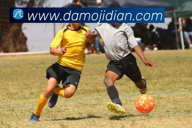 App Interface Preview