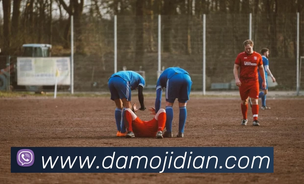 多媒体互动体验